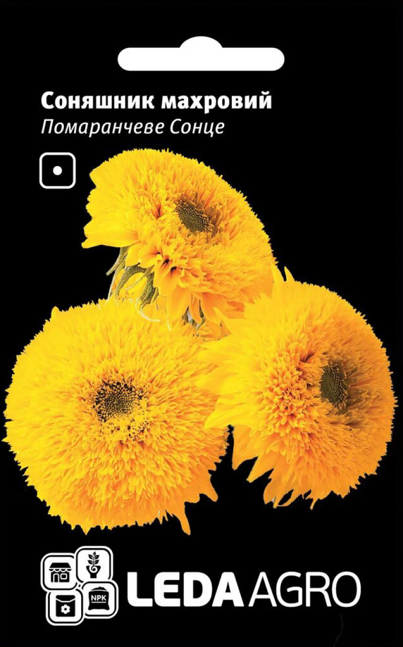 Насіння соняшника Помаранчеве сонце, 0.5 г, Hem Zaden BV, Леда Агро 1