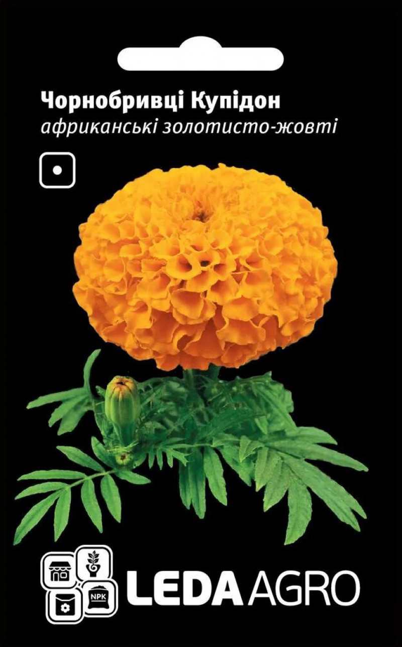 Семена бархатцов Купидон золотисто-желтые, 0.2 г, семена Леда Агро 1