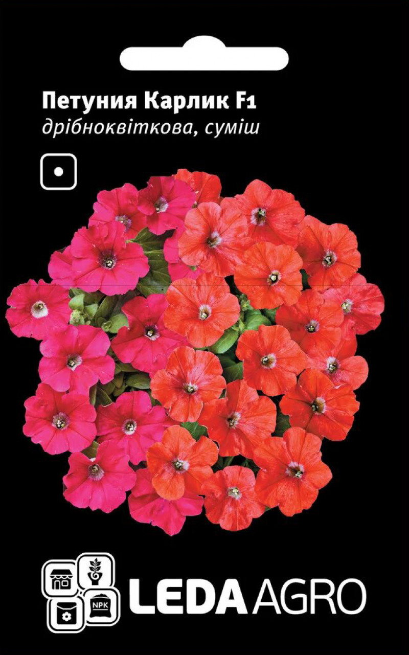 Насіння петунії Карлик, 10шт, Cerny, Чехія, насіння Леда Агро 1
