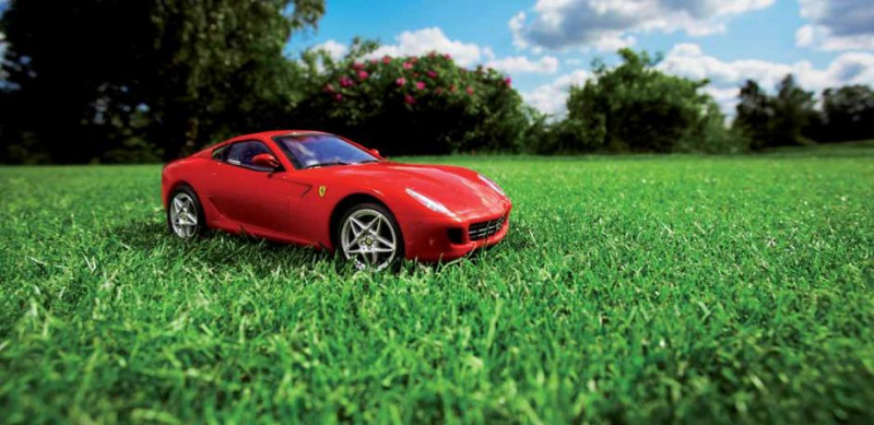 Семена газонной травы DLF-Trifolium Turfline Turbo (Турфлайн Турбо), 7.5 кг 2