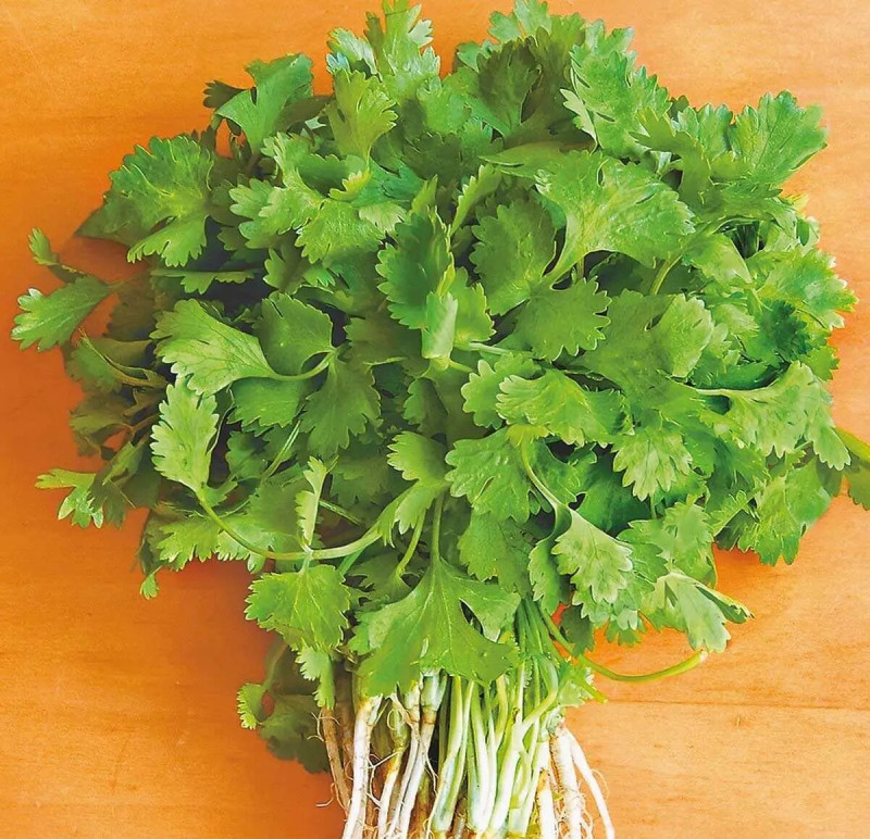 Насіння коріандру Слоуболт, 2г, Hem, Голландія, Професійне насіння 2