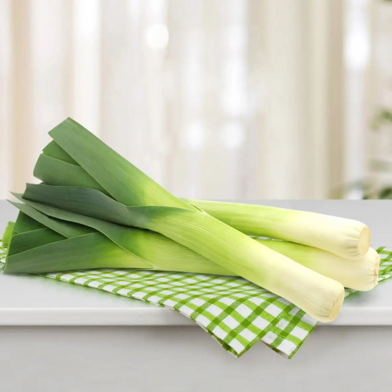 Насіння цибулі-порей Булгарі Гігант, 0.5г, Wing Seed, Голландія, Професійне насіння 2