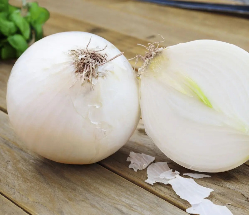 Насіння цибулі білого Вайт Меджик F1, 200шт, United Genetics, Італія, Насіння Pro seeds 2