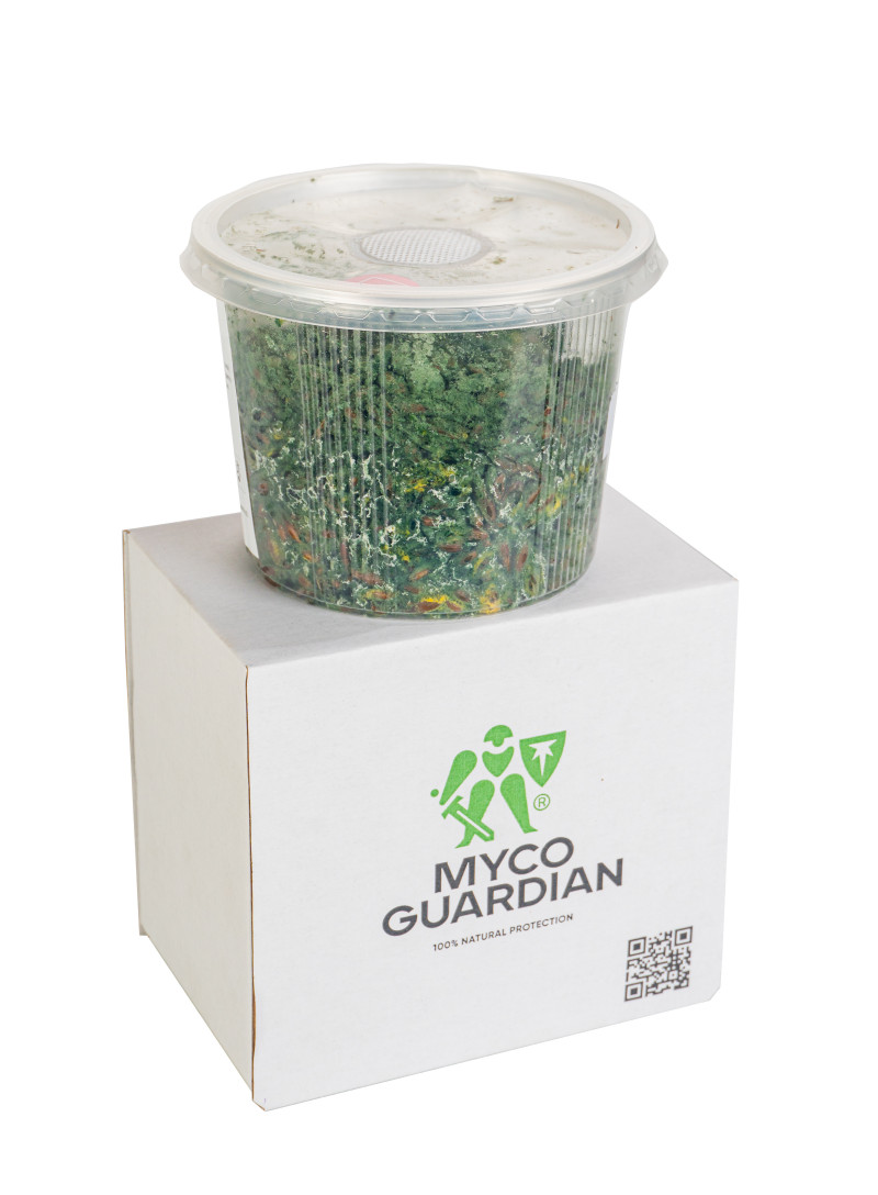 Біофунгіцид, зерновий міцелій гриба Trichoderma Koningii, 500 мл, ТМ Myco Guardian 1