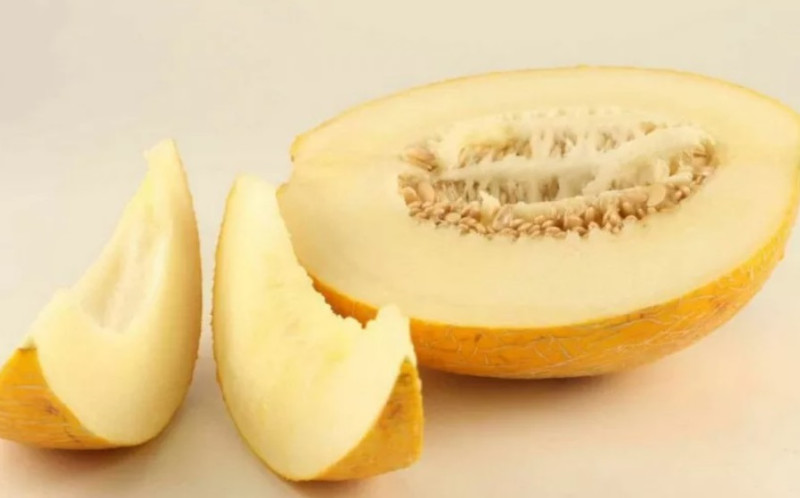 Насіння дині Амал F1, 5 шт, Clause, Франція, насіння Садиба Центр 3