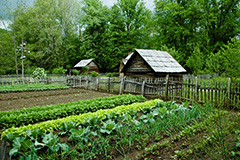 Метод Митлайдера. хитрий баланс