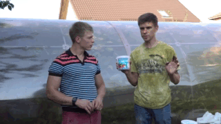 Що потрібно полуниці в серпні для збільшення врожаю? (Відео)