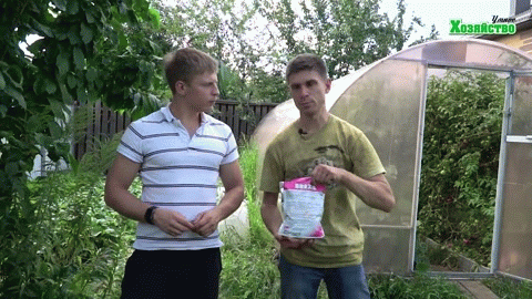 Що потрібно перцю в середині літа? (Відео)