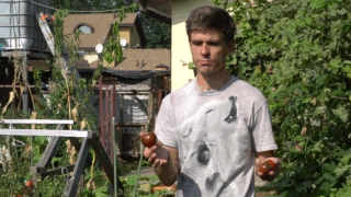 Хитрощі зберігання томатів (відео)