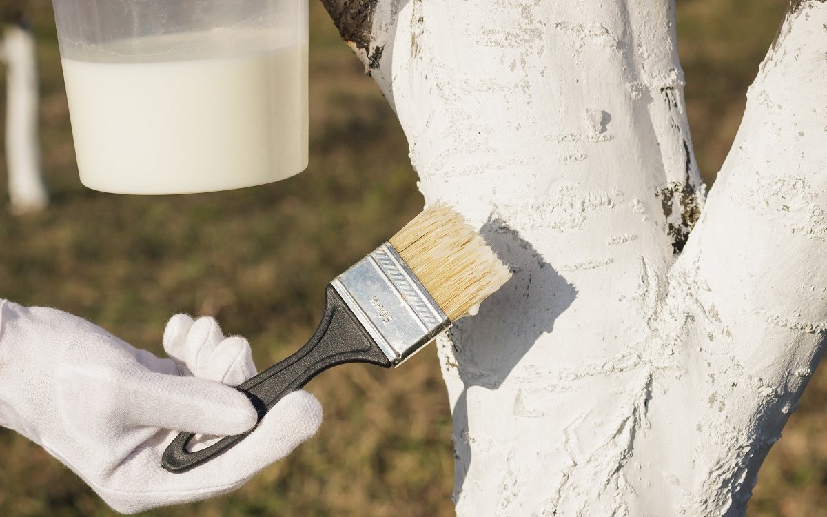 осіння обробка саду