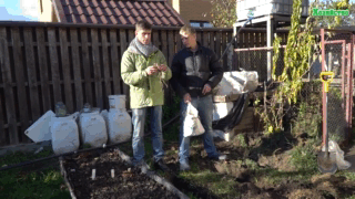 Особливості посадки спаржі (відео)