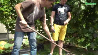 Посев осеннего редиса (видео)