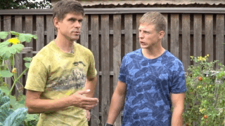 Продовжуємо збір томатів до зими (відео)