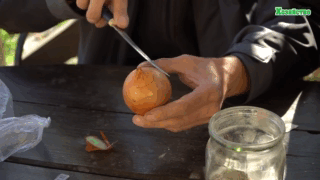 Выращиваем лук на перо на подоконнике. Как получить максимальный результат (видео)