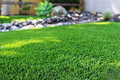 Газон ранньою весною: реанімація, особливості догляду (відео)