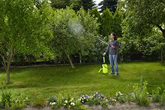 Як вибрати хороший садовий обприскувач?