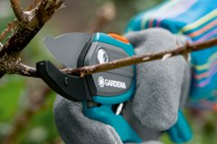 Як вибрати інструмент для обрізки саду?