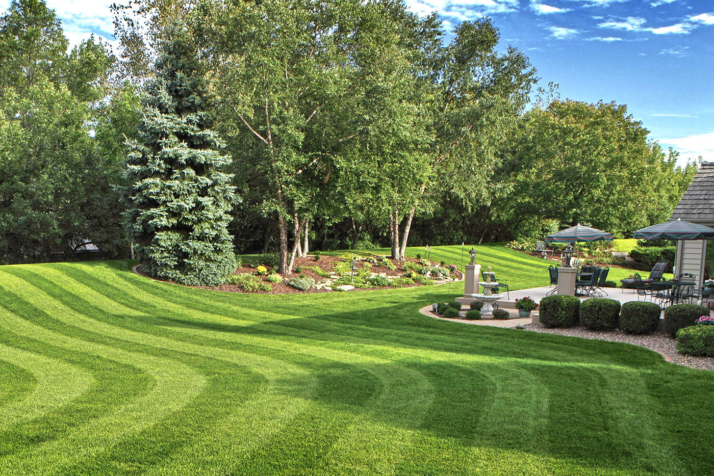 Мох на газоні - не проблема