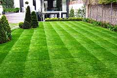 Нові рішення старих проблем газону