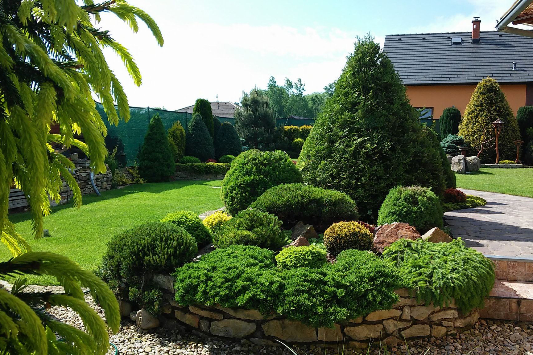 Опік хвойних. Осіння профілактика