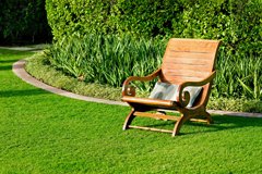 Проблеми газону в серпні-вересні