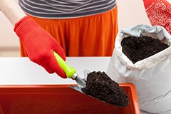 ТОП-5 грунтів для розсади