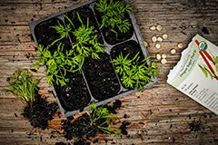 Вибираємо гідрогель. На що звернути увагу?