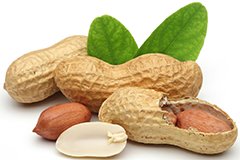 Вирощуємо арахіс в своєму городі!