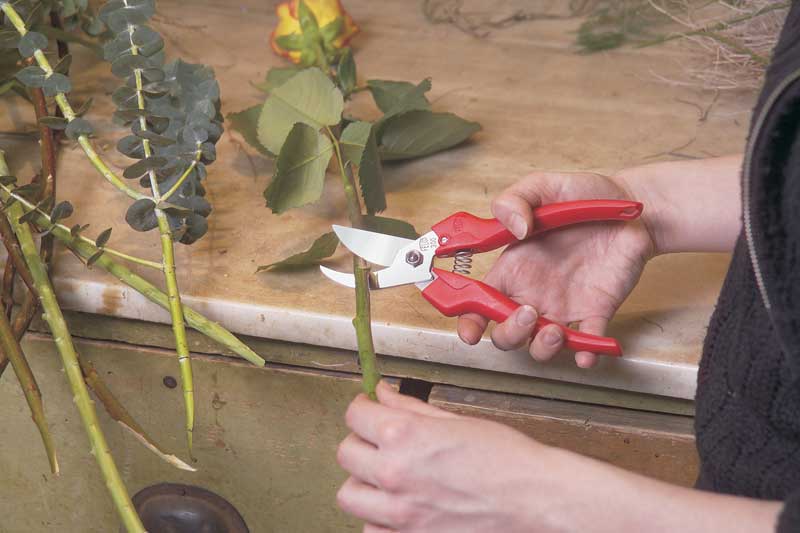 Секатор садовый Felco 300 5