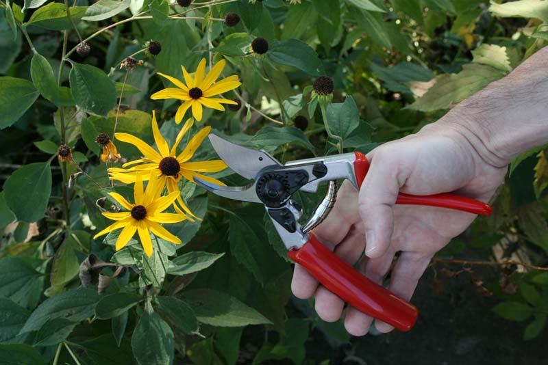 Секатор садовий Felco 12 5