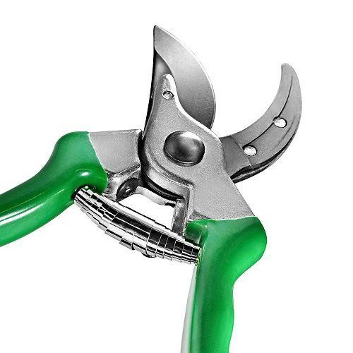 Секатор Specht, 215мм, Gruntek, 295107215 3