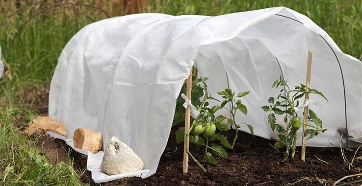 Агроволокно біле 60 UV, 1.6x10м, Агротекс 3