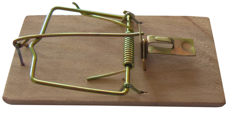 Дерев'яна мишоловка, 2шт, BROS 2