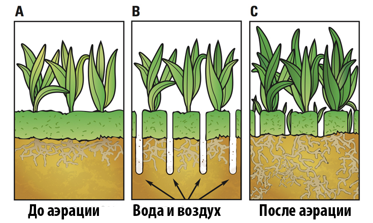Аератор для газону, TM ROSLA (Росла) 3
