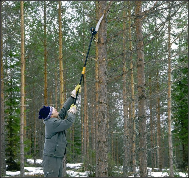 Пила для сучьев, Fiskars, 110950 2