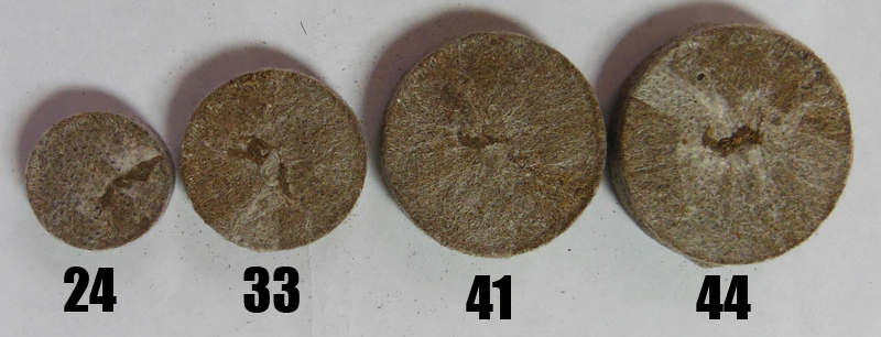 Торф'яна таблетка Jiffy (Джиффи), 100шт, 24мм, TM ROSLA (Росла) 3