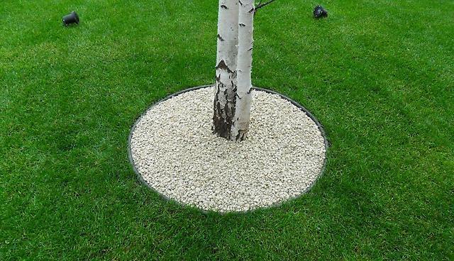 Бордюрная лента Экобордюр стандарт (зеленая), 11см х 10м 4