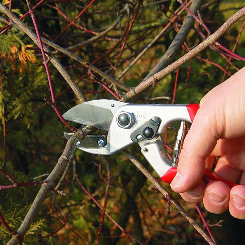 Секатор, Felco, 31 2