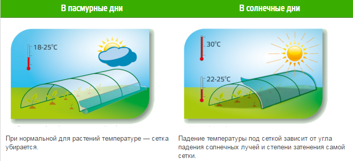 Затіняюча сітка 60%, 2х10м 4