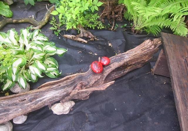 Агроволокно чорне Гео 120 UV, 0.8х25м, Агротекс 3