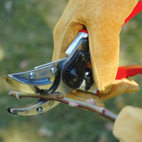 Секатор для роз и цветов, Felco, 100 2