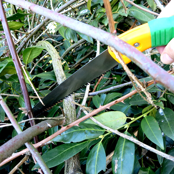 Пила садова обрізна, Gruntek, 295500300 10