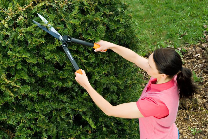 Ножиці Fiskars для живоплоту PowerGear®, 114790, Fiskars 2