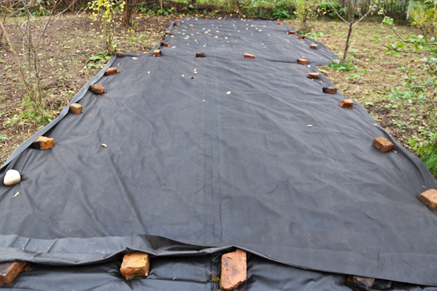 Агроволокно чорне UV 50, 1.6х10м, Growtex 2