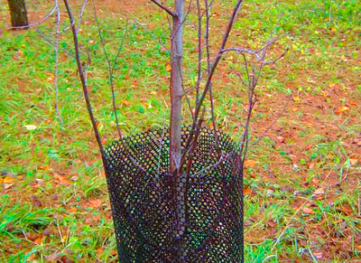 Сетка от зайцев, 5шт, 80х20см 4