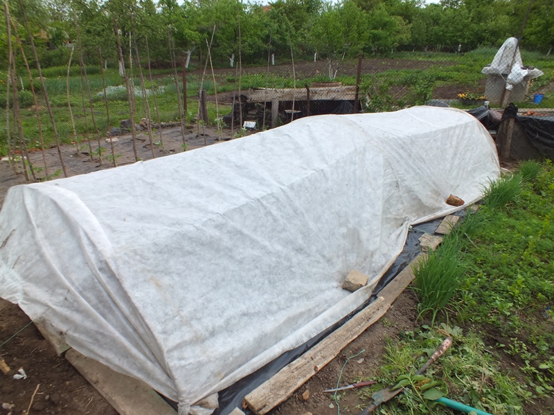 Агроволокно белое Growtex 50 UV, 1.6x10 м 4