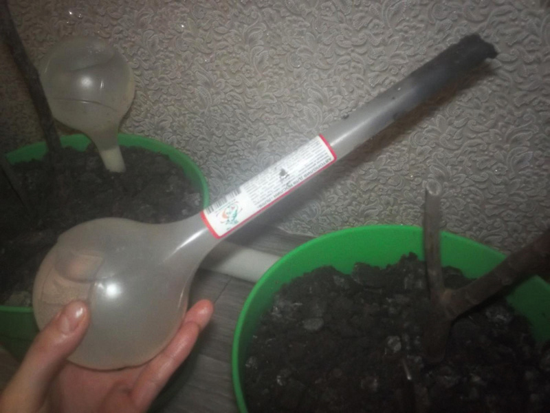 Автополив для растений Лилия 3