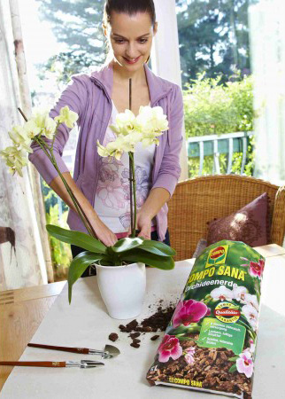 1978 Компо Добриво-палички для орхідей 2