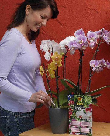 1978 Компо Добриво-палички для орхідей 3