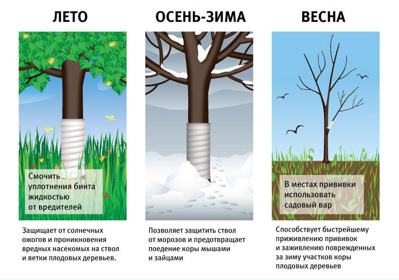 Бинт садовий 0.12х10м, Агротекс 2